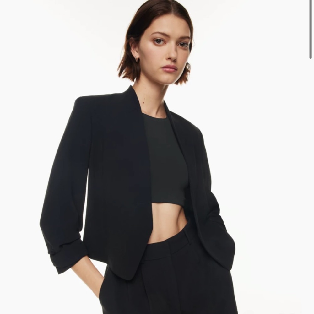 Aritzia Babaton Power Blazer